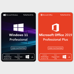 Windows 11 Professional + Microsoft Office 2019 Professional Plus