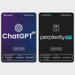 ChatGPT Plus + Co-Abonnement Perplexity Pro