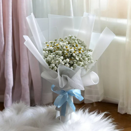 Mini Daisy & Baby's Breath