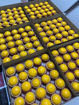 Custard Egg Tart 