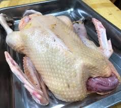 សាច់ទាកាប៉ា