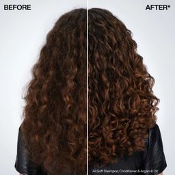 Redken - All Soft Conditioner with Argan Oil for Dry Hair (300 ml)