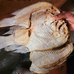 Dry Salted Fish