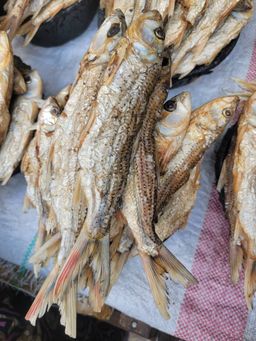 Dry Tiger Fish