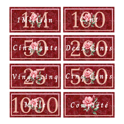 💸 Les outils de visualisation (faux billets) 