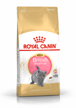 Royal Canin - British Shorthair Kitten