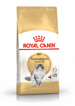 Royal Canin - Norwegian Forest Cat Adult