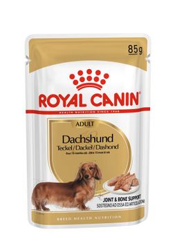 Royal Canin - Dachshund