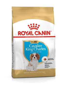 Royal Canin - Cavalier King Charles Puppy