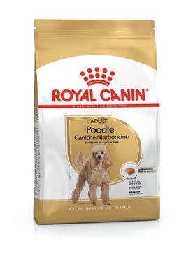 Royal Canin - Poodle Adult