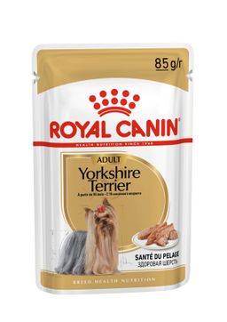 Royal Canin - Yorkshire Terrier