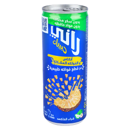 RANI PINEAPPLE 24*240ML