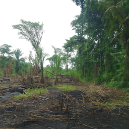 Terrains non aménagés à vendre