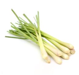 Lemongrass  