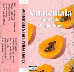 Guatemala Santa Felisa Honey Gesha 