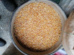 Grade A Popcorns!/Kg