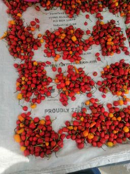 Chilli Mbuzi/Heap