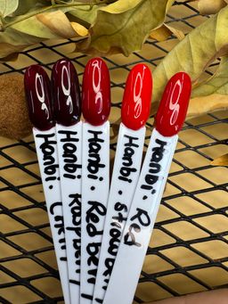 HANBI VIP Gel Polish 17ML