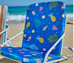 Beach Chair