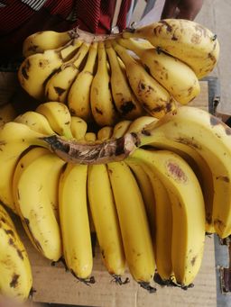 Fresh Bananas/Kg