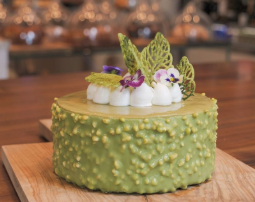 Slow Baked Matcha Cheesecake