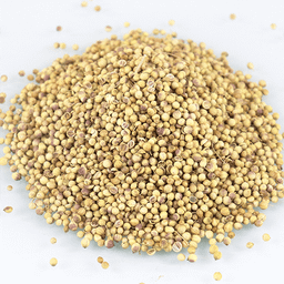 Coriander كزبره حب