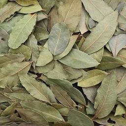 Bay leaves ورق غار