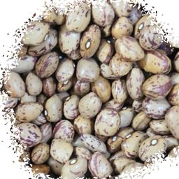 Red beans فاصوليه حمرا