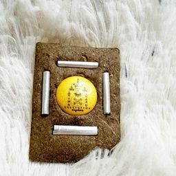 9. AJarn Tao Latest Paya Lin Kam