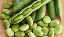  باقلاء ناعمه