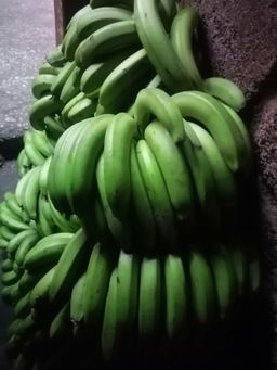 Raw Banana/Kg