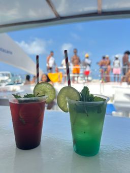 Punta Cana Party Boat