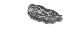 Peacock Feather imprint Cookie Cutter     