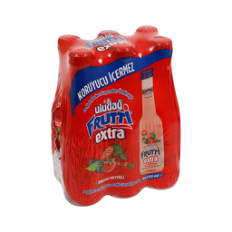 Uludağ Frutti Extra Orman Meyveli (6 x 250 ml)