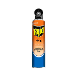 Raid 2in1 Sineksavar (300 ml)