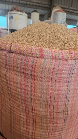 Millet/Meda 