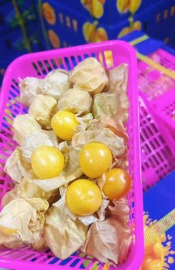 Girl Fruit / Gooseberry (By the Box) 