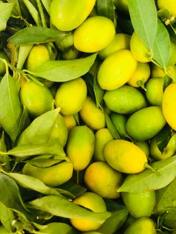 ليمون بيبي اخضر