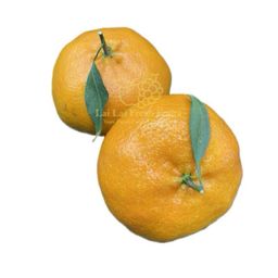 China Gan Ping Orange