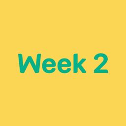 Week 2 (11-15 Jan)