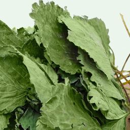 1 For 1 Special Bundle! Premium Strawberry Leaves For Rabbits & Small Animals (35g + 35g) 