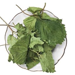 1 For 1 Special Bundle! Premium Strawberry Leaves For Rabbits & Small Animals (35g + 35g) 