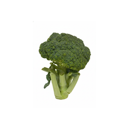 Brokoli Lokal 550 - 650 gram 