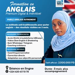 use ways Premium Digital individuel