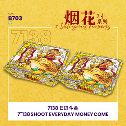 B703 | 7"276 SHOOT  EVERYDAY MONEY COME (V SHAPE) 7"276 - 日进斗金