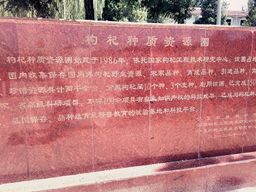 Kuai Tea™ - Ningxia Gojiberries 筷茶™寧夏枸杞 （農科院研究所產）