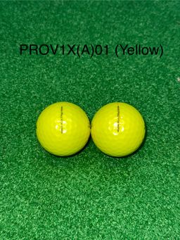 [Lakeballs.bn] Titleist Pro V1x
