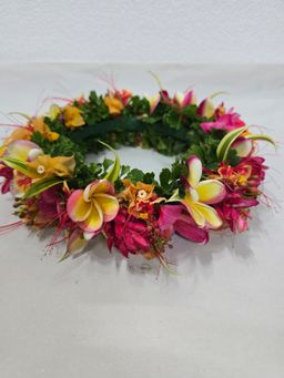 Plumeria (Frangipani) Mwar