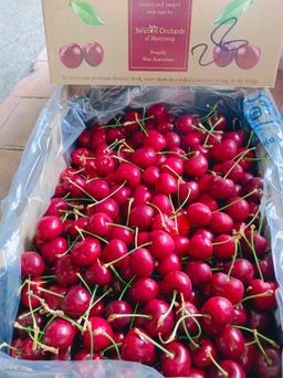500G Australia Manjimup Cherry 30mm
