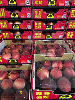 1 BOX Australia Montague Giftbox 9s